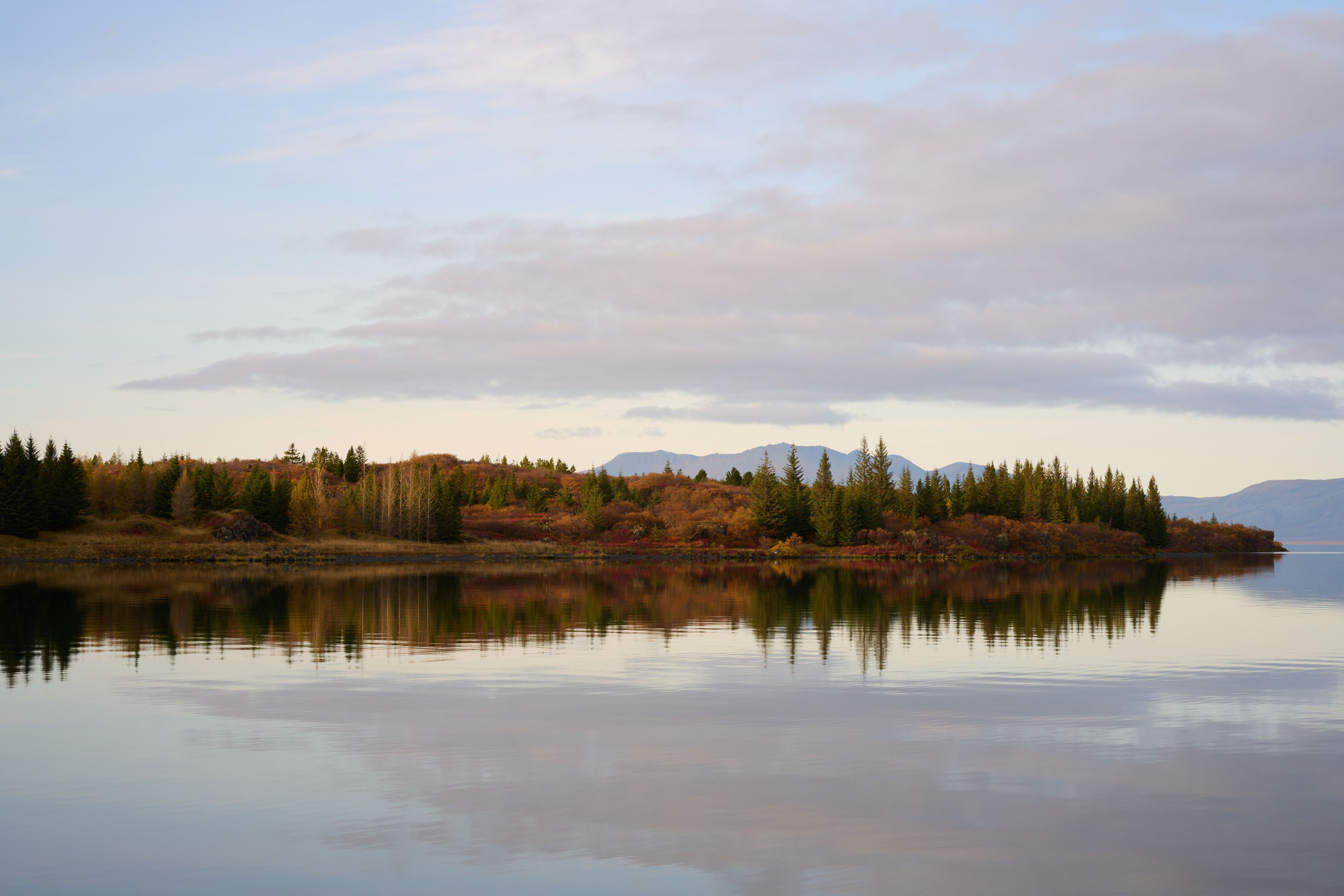 A line of reddening as well as evergreen trees reflecting in the lake during sunset