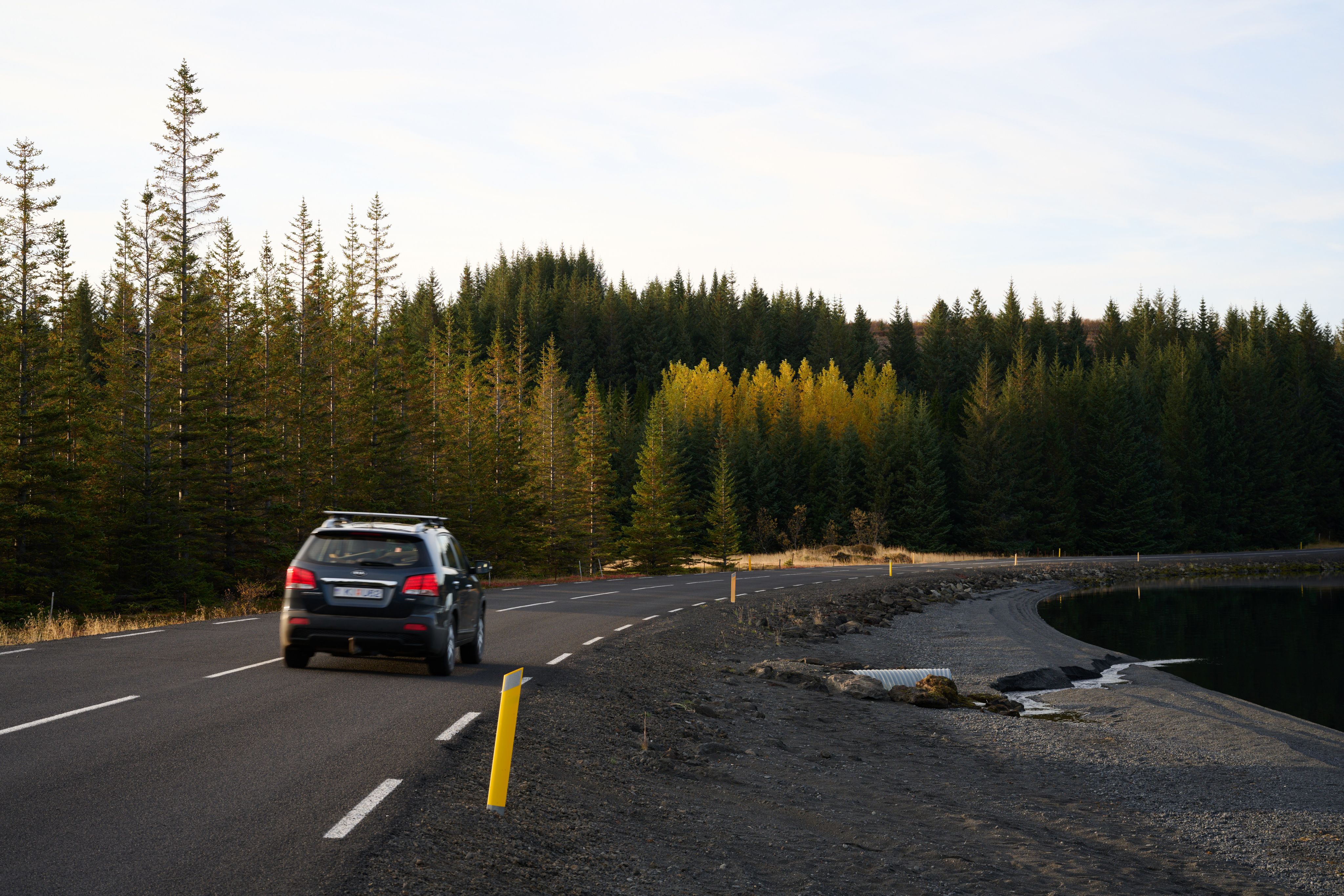 A car driving down a very well-kept road by the lakeside